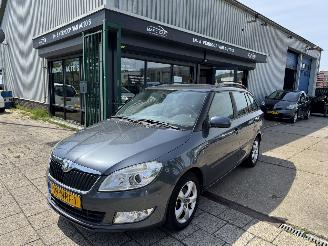 Auto incidentate Skoda Fabia 1.2 TDI 55KW AIRCO 2010/10