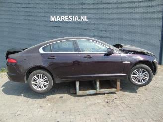 Auto da rottamare Jaguar XF XF (CC9), Sedan, 2008 / 2015 2.2 D 16V 2012/9