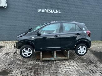 Kia Picanto Picanto (JA), Hatchback, 2017 1.0 DPI 12V picture 3