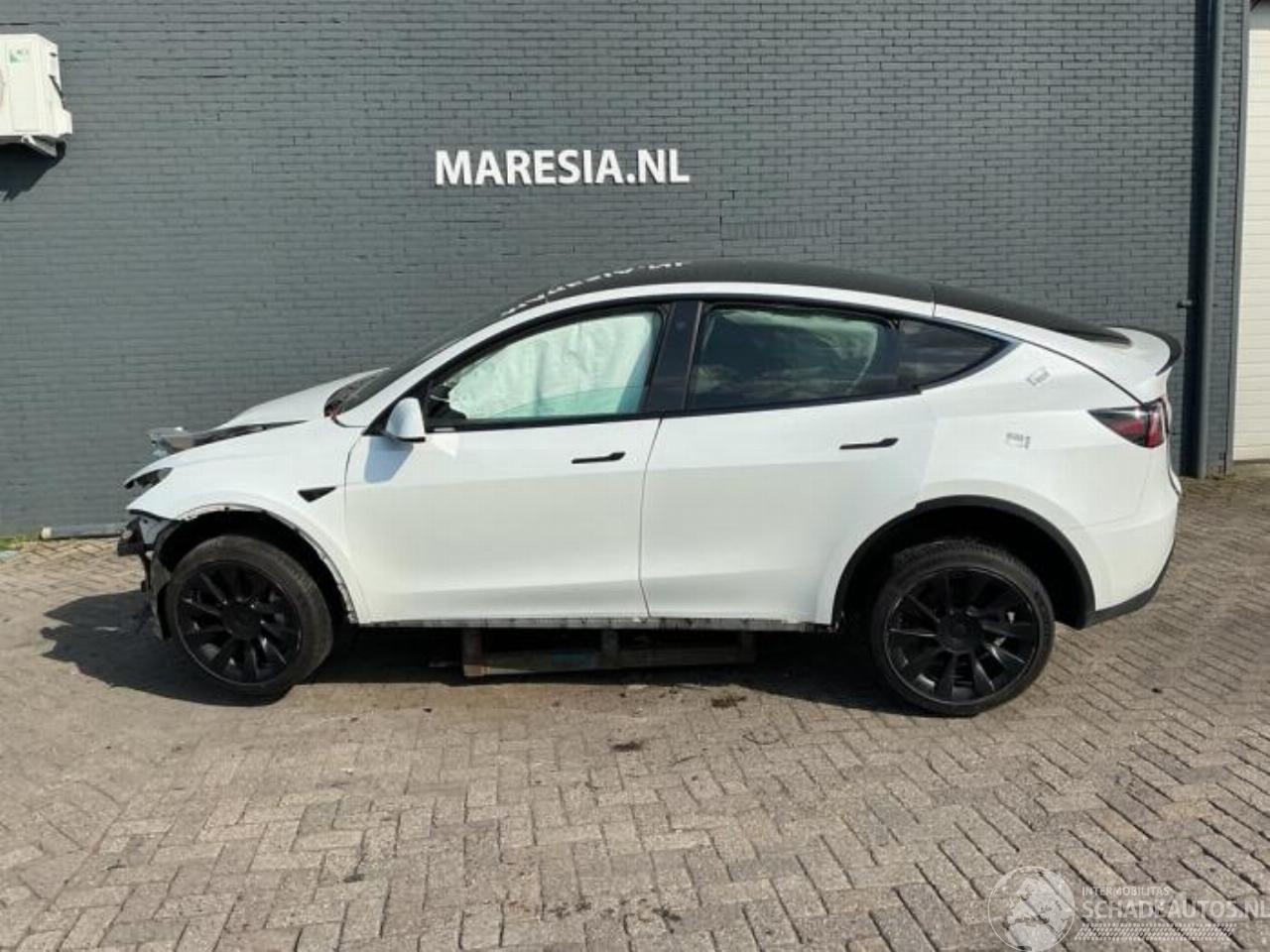 Tesla Model Y Model Y (5YJY), SUV, 2019 / 2025 Long Range,Performance