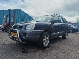 Hyundai Santa Fe 2.0i-16V Dyn. Motion picture 2