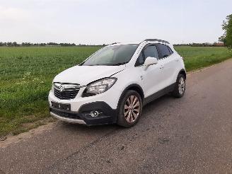 disassembly passenger cars Opel Mokka 1.4 Turbo 4x4 2016/1