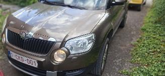 Skoda Yeti 2.0 tdi picture 5