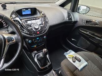 Ford B-Max 1.0 EcoBoost 74-KW Titanium 5drs picture 21