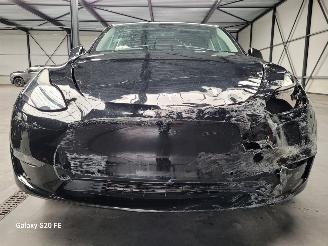 Tesla Model Y Dual Motor 378-KW Automaat AWD picture 7