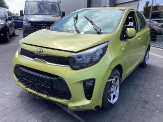 Kia Picanto Picanto (JA), Hatchback, 2017 1.0 DPi 12V picture 1
