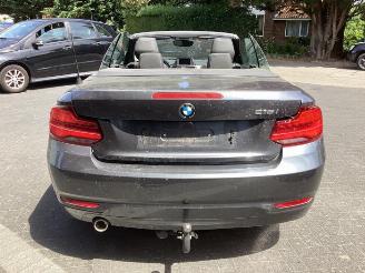 BMW 2-serie 2 serie (F23), Cabrio, 2014 / 2021 218i 1.5 TwinPower Turbo 12V picture 6