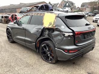 Audi Q6 Q6 e-tron (GFB), SUV, 2024 Performance 100 kWh picture 7