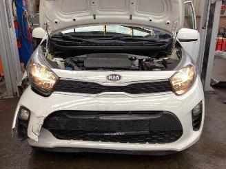 Kia Picanto Picanto (JA), Hatchback, 2017 1.0 12V picture 14
