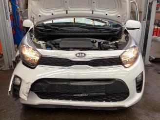 Kia Picanto Picanto (JA), Hatchback, 2017 1.0 12V picture 14