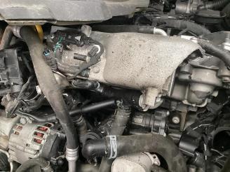 Volkswagen Caddy Caddy Cargo V (SBA/SBH), Van, 2020 2.0 TDI BlueMotionTechnology picture 13