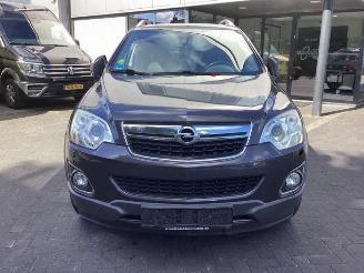Opel Antara Antara, SUV, 2006 2.2 CDTI 16V 4x4 picture 2