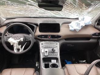 Hyundai Grand Santa Fe Santa Fe IV, SUV, 2018 1.6 T-GDI PHEV picture 9