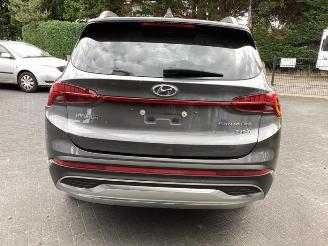 Hyundai Grand Santa Fe Santa Fe IV, SUV, 2018 1.6 T-GDI PHEV picture 6