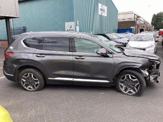 Hyundai Grand Santa Fe Santa Fe IV, SUV, 2018 1.6 T-GDI PHEV picture 4