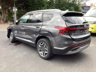 Hyundai Grand Santa Fe Santa Fe IV, SUV, 2018 1.6 T-GDI PHEV picture 7