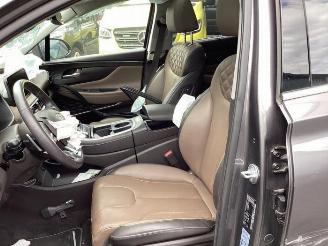 Hyundai Grand Santa Fe Santa Fe IV, SUV, 2018 1.6 T-GDI PHEV picture 10