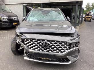 Hyundai Grand Santa Fe Santa Fe IV, SUV, 2018 1.6 T-GDI PHEV picture 2