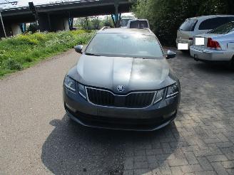 Vrakbiler auto Skoda Octavia  2019/1