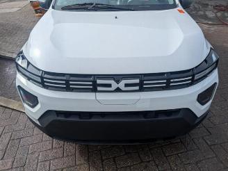 Dacia Spring Spring, Hatchback, 2020 45 picture 1