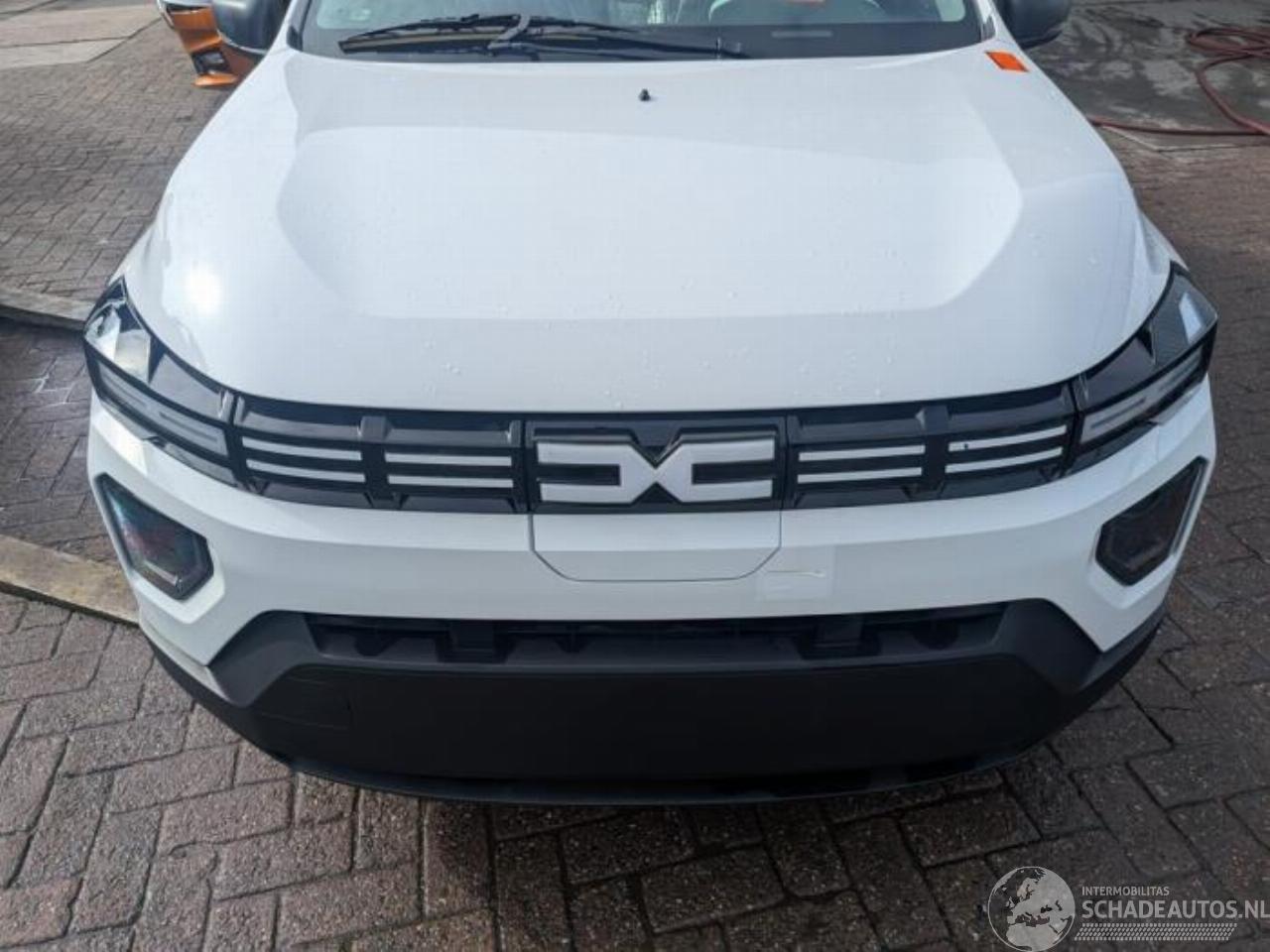 Dacia Spring Spring, Hatchback, 2020 45