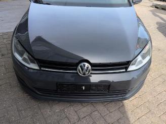  Volkswagen Golf Golf VII (AUA), Hatchback, 2012 / 2021 1.2 TSI 16V 2013/3