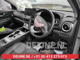 Hyundai Kona Kona (OS), SUV, 2017 / 2023 64 kWh picture 14