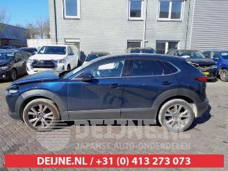 Mazda CX-30 CX-30 (DM), SUV, 2019 2.0 e-SkyActiv-G 122 16V picture 4