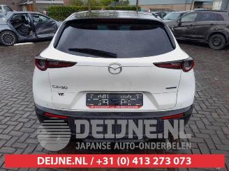 Mazda CX-30 CX-30 (DM), SUV, 2019 2.0 e-SkyActiv-G 122 16V picture 6