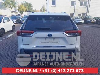 Toyota Rav-4 RAV4 (A5), Terreinwagen, 2018 2.5 Hybrid 16V AWD picture 6
