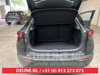 Mazda CX-30 CX-30 (DM), SUV, 2019 2.0 e-SkyActiv-G 122 16V picture 9