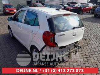 Kia Picanto Picanto (JA), Hatchback, 2017 1.0 12V picture 5