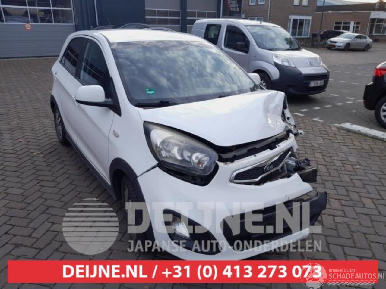 Kia Picanto Picanto (TA), Hatchback, 2011 / 2017 1.2 16V