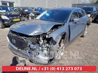 Mazda CX-30 CX-30 (DM), SUV, 2019 2.0 e-SkyActiv-G 122 16V picture 3