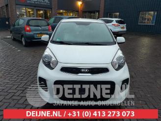 Kia Picanto Picanto (TA), Hatchback, 2011 / 2017 1.0 12V picture 2