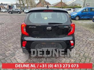 Kia Picanto Picanto (JA), Hatchback, 2017 1.0 12V picture 6
