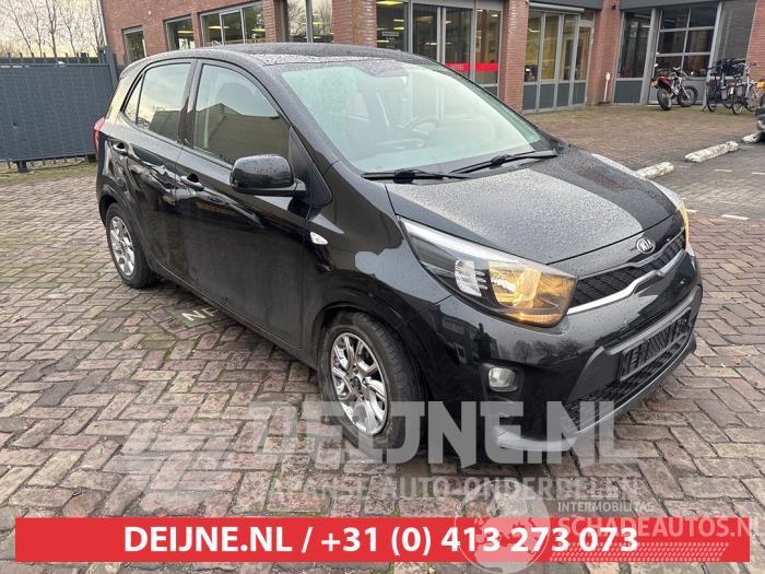 Kia Picanto Picanto (JA), Hatchback, 2017 1.0 12V