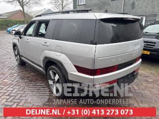 Hyundai Santa Fe Santa Fe V (MX5), SUV, 2024 1.6 T-GDI PHEV 4WD picture 5