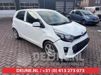 Kia Picanto Picanto (JA), Hatchback, 2017 1.0 12V picture 1