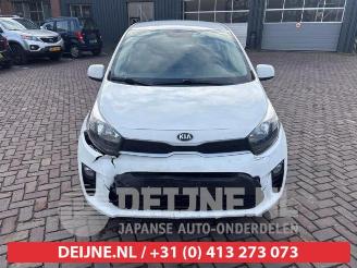 Kia Picanto Picanto (JA), Hatchback, 2017 1.0 12V picture 2