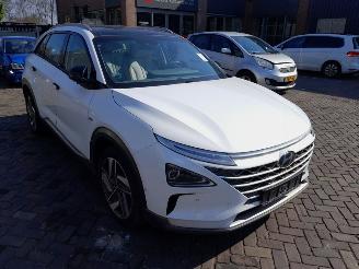 Schadeauto Hyundai Nexo  2020/1