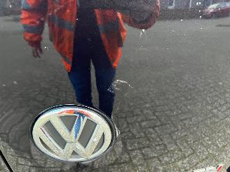 Volkswagen Caddy maxi 1.6 tdi 75kw picture 20