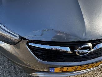 Opel Crossland X 1.2Turbo / PANODAK / NAVI / CRUISE / PDC picture 5