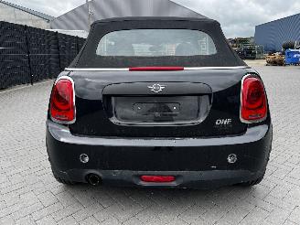 Mini Cabrio 1.5i WATERSCHADE picture 10