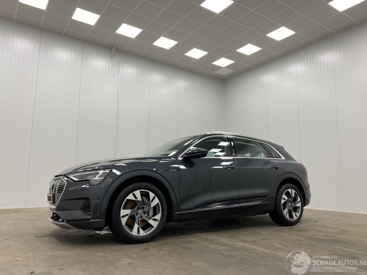 Audi E-tron 50 Quattro Launch Edition Plus 71 kWh Panoramadak