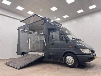 Mercedes Sprinter 311 CDI Horsetruck picture 2