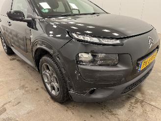 Citroën C4 cactus 1.2 PureTech Shine Navi Clima picture 18