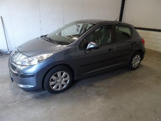 Peugeot 207 1.4 16V picture 1