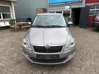 Skoda Fabia Fabia II (5J), Hatchback 5-drs, 2006 / 2014 1.2 TSI picture 2