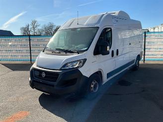 begagnad bil bedrijf Fiat Ducato 2.3 2.3 160 Koel-vrieswagen 2021/7